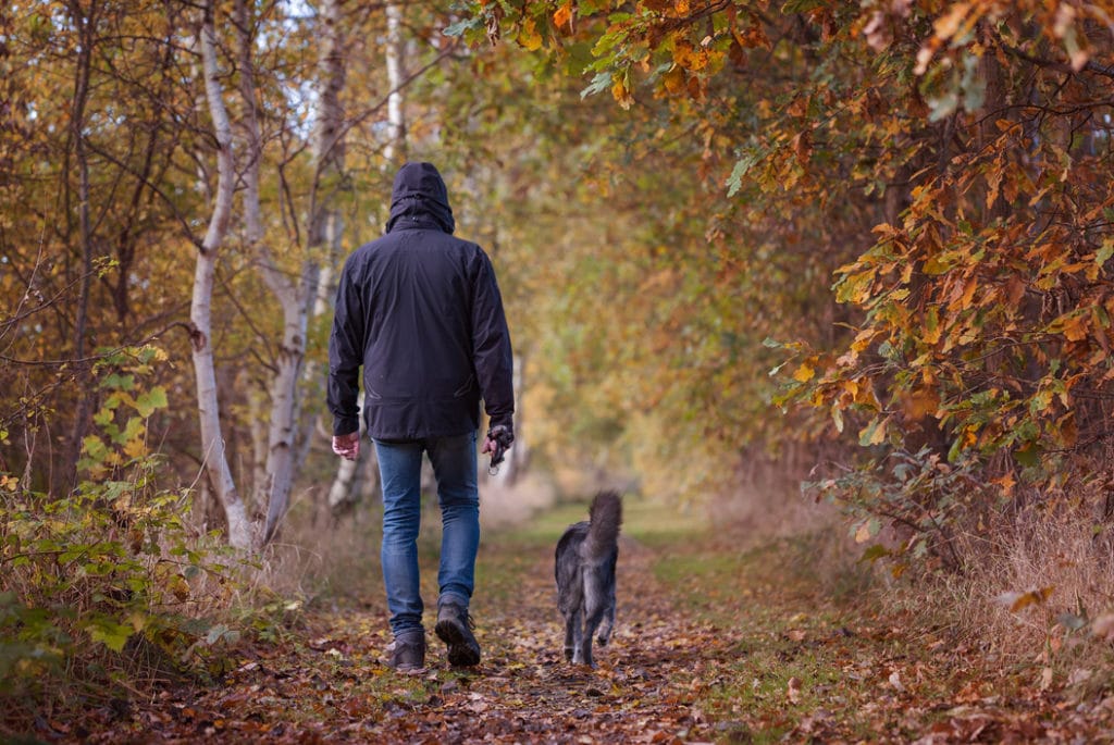 Does Hyaluronic Acid Improve Pain and Function for Patients with Osteoarthritis?
