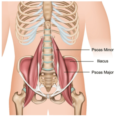 Hip Flexor Pain or Iliopsoas Related Groin Pain