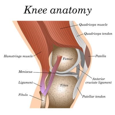 Patella tendinopathy (Jumper's Knee) - Ultrasound Guided Injections