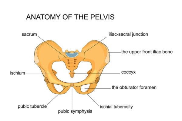 Osteitis Pubis - Ultrasound Guided Injections