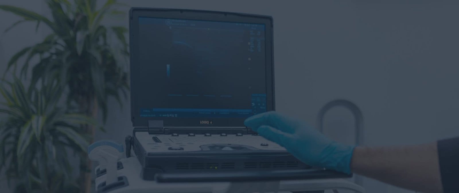 Ultrasound guided injection procedure
